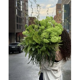 Зеленая поляна 