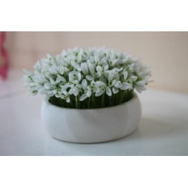 Первые признаки весны