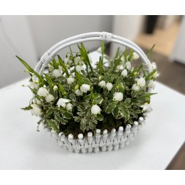 Весенние любимчики