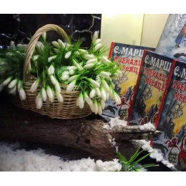 Зимняя фантазия 