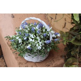 Корзина для любимой!