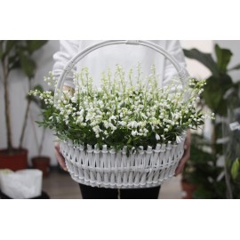 Все прелести весны