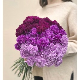 Необычная гвоздика