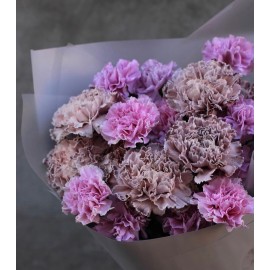 Необычные гвоздики 