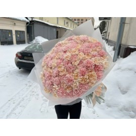 Море гвоздики 