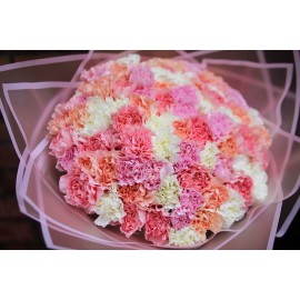 101 нежная гвоздика 