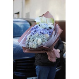 Необычные диантусы