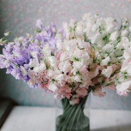 101 ветка душистого горошка в вазе