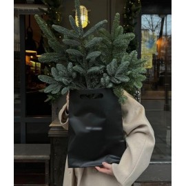 Новогодний пакет