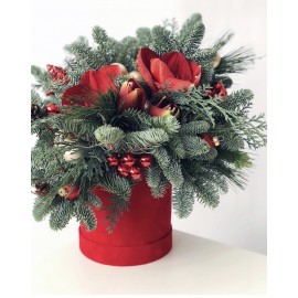 Новогодняя композиция с амариллисом 