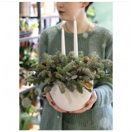 Сказочная красотка 