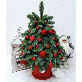 Красная милашка