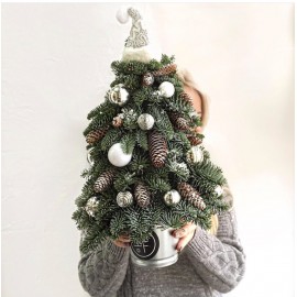 Рождественская красотка 