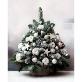 Нарядная красотка 