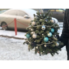 Елочка-красавица!