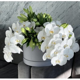 Энергия белого!