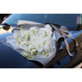 Магия белых орхидей 