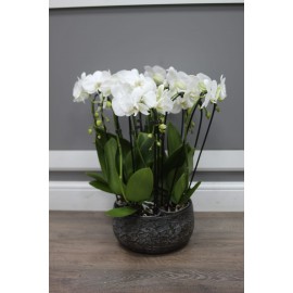 Тройка белых каскадов