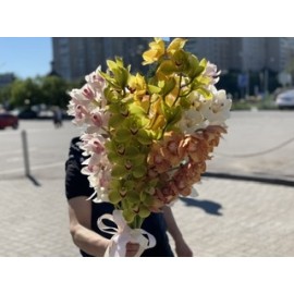 Фантастические орхидеи 