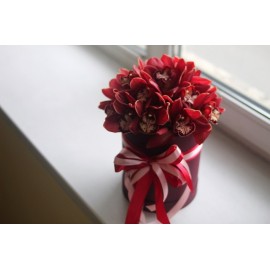 Гранатовые орхидеи в коробке 