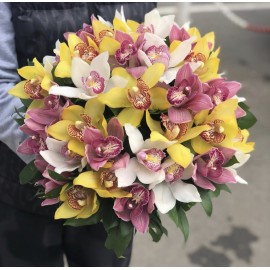 51 орхидея микс