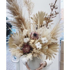 Зимние сухоцветы