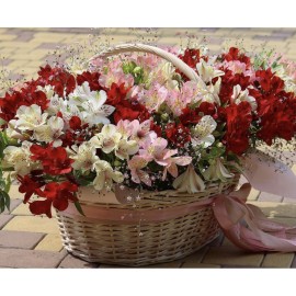 55 альстрамерий в корзине