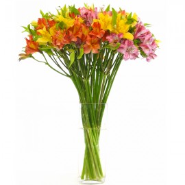 19 альстромерий в вазе