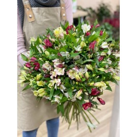 25 альстромерий