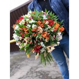 45 альстромерий