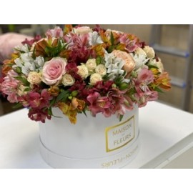 Яркая коробка 