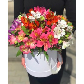 Альстромерии в шляпной коробке 