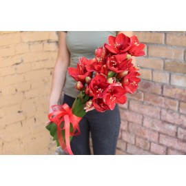 Красные красавцы 