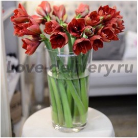 19 амариллисов в вазе