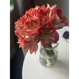 Яркий каскад