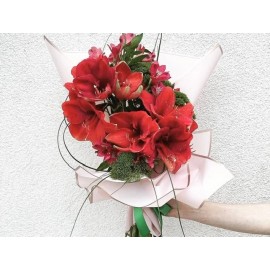 Очарование амариллисов