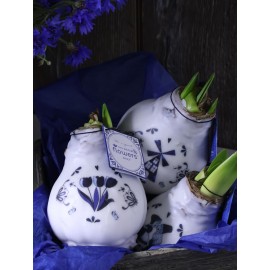 Амариллис в воске «Гжель»