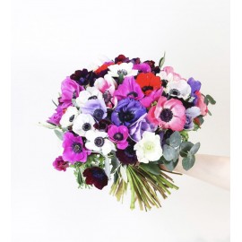 Анемоны микс от 19 штук 