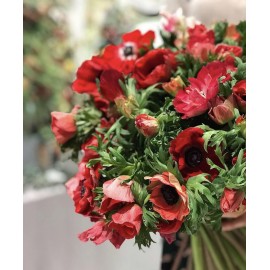 Красные  анемоны поштучно от 9 штук