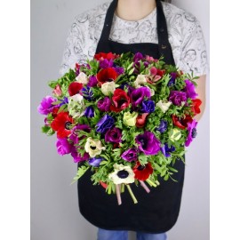 75 анемонов микс