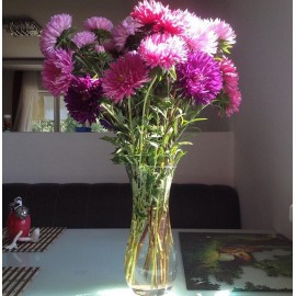 Ваза с астрами