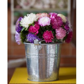 Ведро с астрами