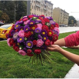 101 астра микс