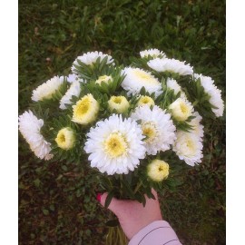 Эти белые астры