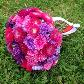 Астры, да и только!