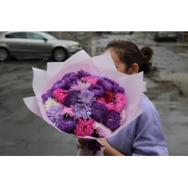 Разнообразные астрочки