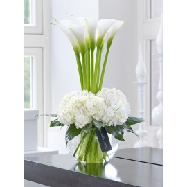 Высокие отношения