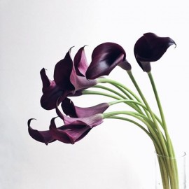Черные каллы поштучно от 9 штук