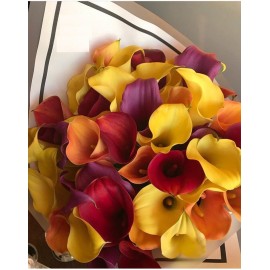 Яркие каллы