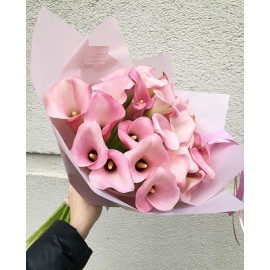 Лучшие из лучших